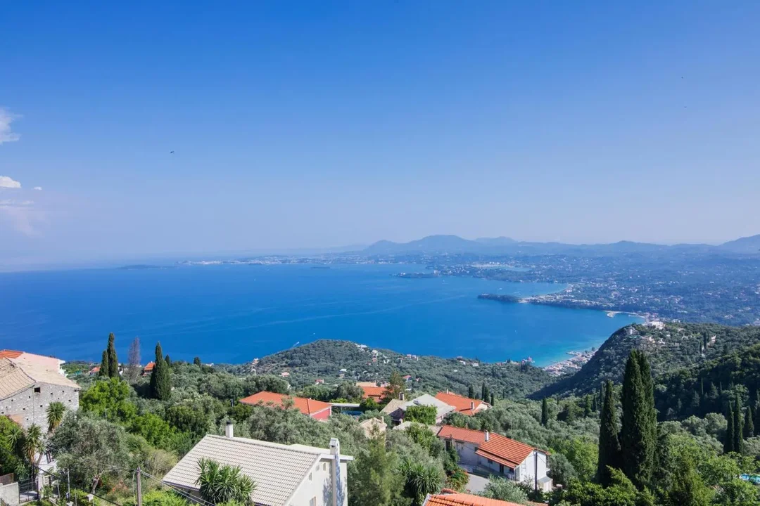 Hibiscus flowers on balcony